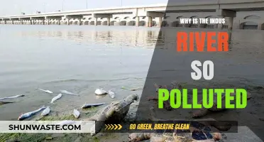 Indus River Pollution Crisis: Causes, Impacts, and Urgent Solutions
