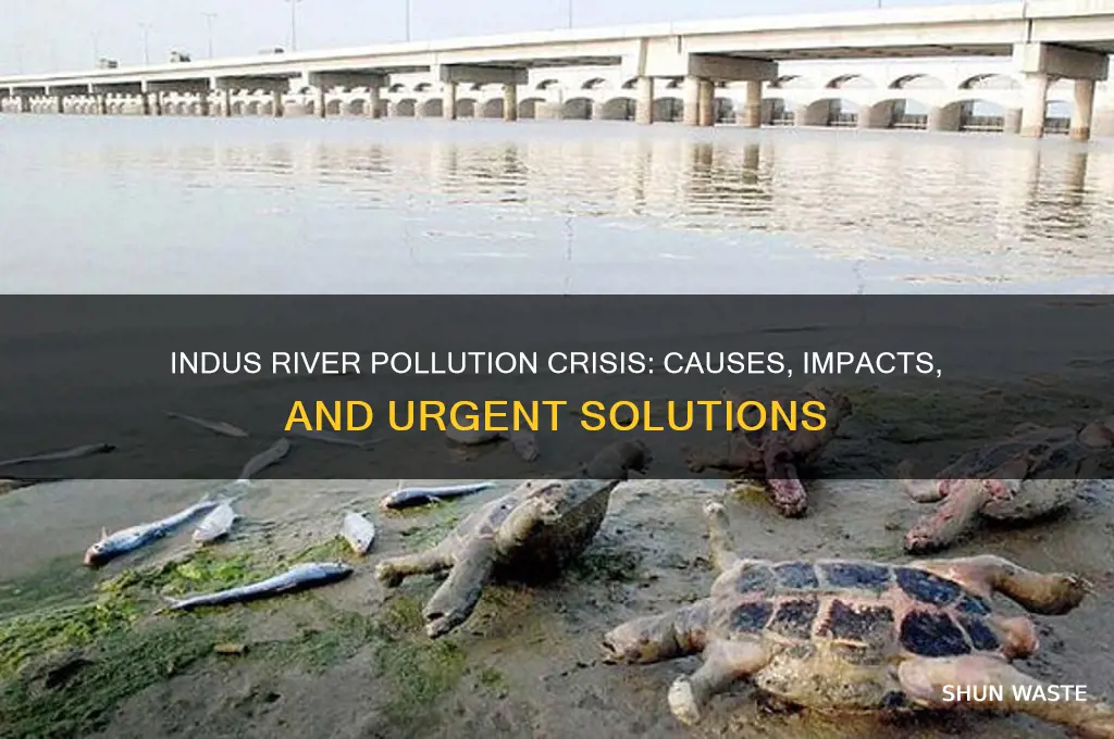 why is the indus river so polluted