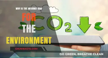 The Hidden Environmental Cost of Our Digital Internet Addiction