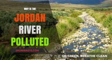The Jordan River's Pollution Crisis: Causes and Consequences