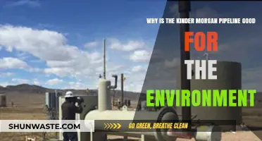 Kinder Morgan Pipeline: Environmental Benefits and Sustainable Energy Solutions