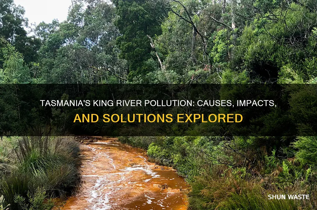 why is the king river in tasmania polluted