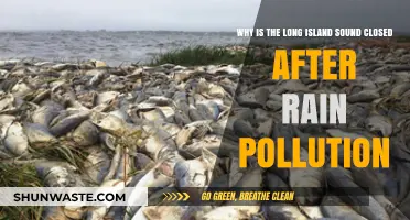 Rain's Impact: Why Long Island Sound Closes Post-Storm Pollution