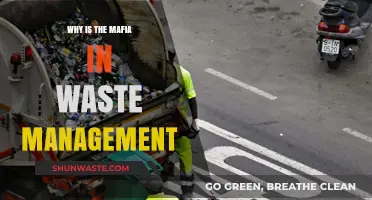 The Hidden Hand: Mafia Influence in Waste Management Uncovered