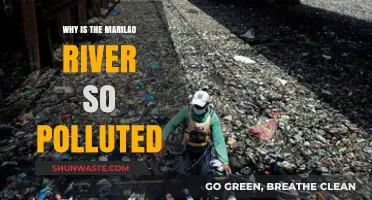 Unveiling the Causes of Marilao River's Severe Pollution Crisis