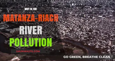 Matanza-Riachuelo River Crisis: Uncovering Causes of Severe Pollution