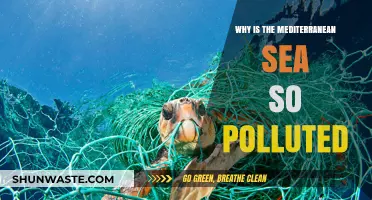 Mediterranean Sea Pollution Crisis: Causes and Urgent Solutions Needed