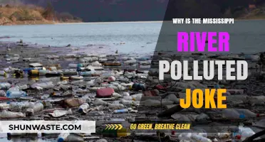 Mississippi River's Pollution: A Joke or a Serious Environmental Crisis?