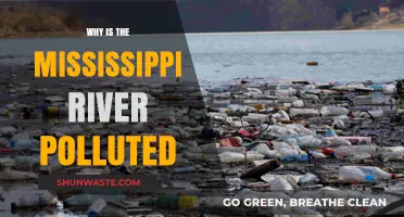 Unveiling the Mississippi River's Pollution Crisis: Causes and Consequences