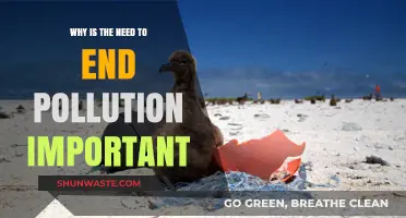 Ending Pollution: A Critical Step for Our Planet's Survival and Future
