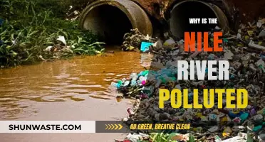 Unveiling the Causes of Nile River Pollution: A Growing Crisis