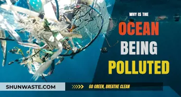 Ocean Pollution Crisis: Causes, Consequences, and Urgent Solutions Needed