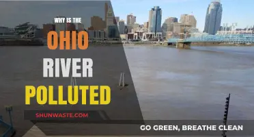 Ohio River Pollution: Causes, Impacts, and Urgent Solutions Needed