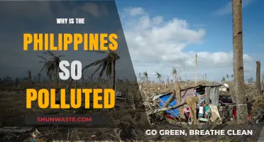 Unraveling the Causes of Severe Pollution in the Philippines