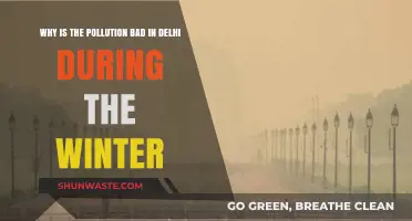 Delhi's Winter Pollution Crisis: Causes and Consequences Explained