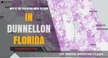 Dunnellon's Skyrocketing Pollution Index: Causes and Urgent Solutions Needed