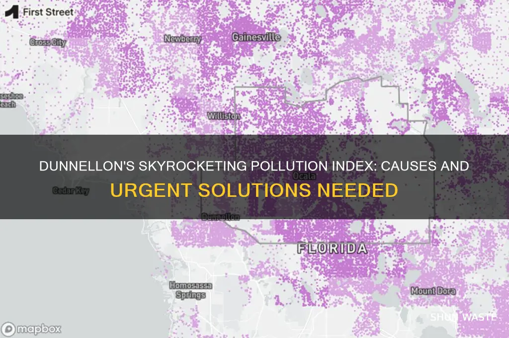 why is the pollution index so high in dunnellon florida