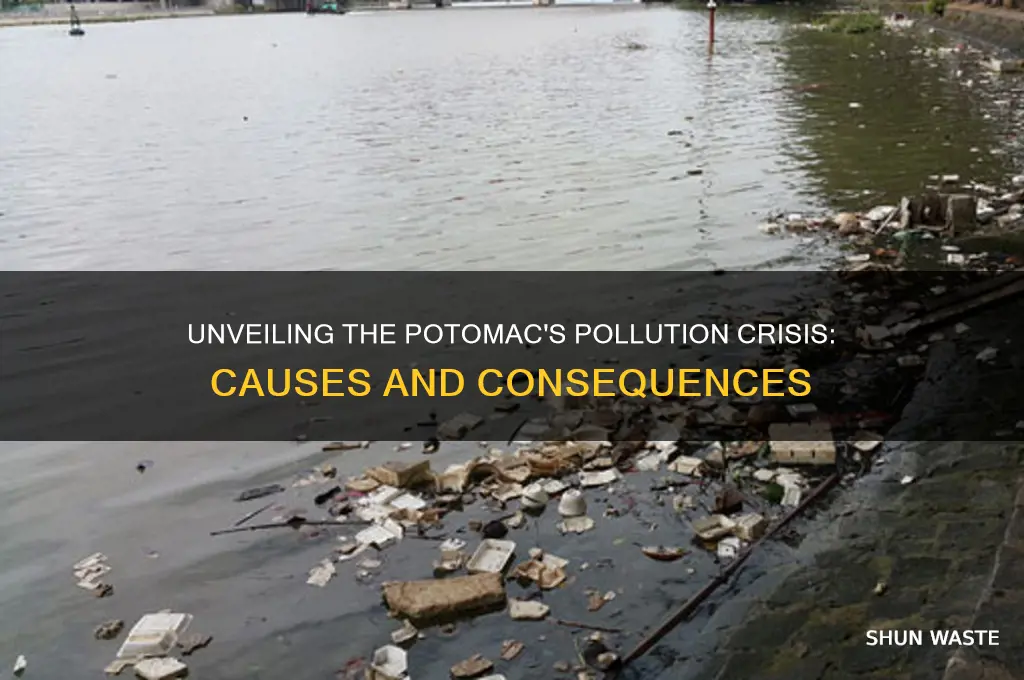 why is the potomac river so polluted