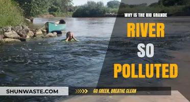 Rio Grande's Pollution Crisis: Causes and Consequences Explained