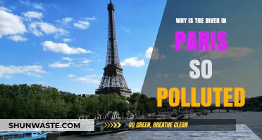 Paris' Seine River Pollution Crisis: Causes and Consequences Explained