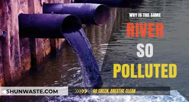 Why Our Once-Pristine River Now Suffers Severe Pollution