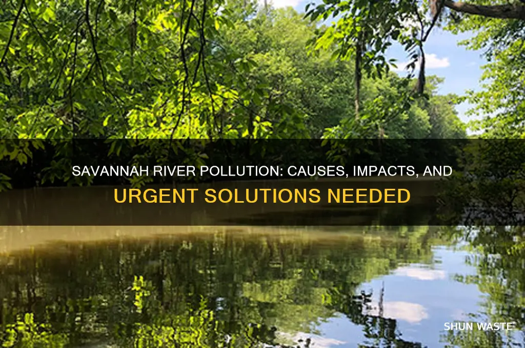 why is the savannah river polluted