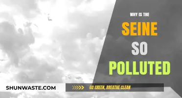 The Seine's Pollution Problem: Why It's So Dirty