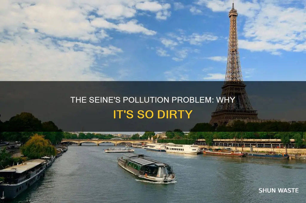 why is the seine so polluted