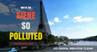 The Seine's Pollution Crisis: Causes, Impacts, and Urgent Solutions