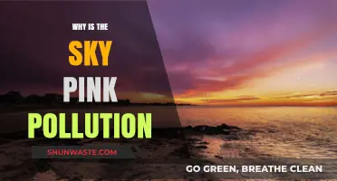 Pink Skies and Pollution: Unveiling the Environmental Connection
