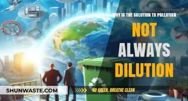 Beyond Dilution: Rethinking Pollution Solutions for a Sustainable Future