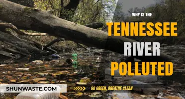 Unveiling the Tennessee River's Pollution Crisis: Causes and Consequences