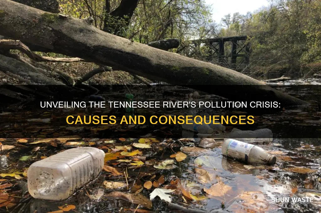 why is the tennessee river polluted