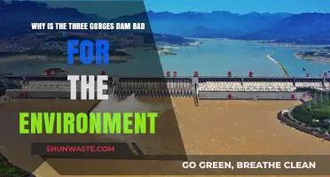 Three Gorges Dam's Environmental Impact: A Critical Analysis