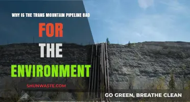 Trans Mountain Pipeline: Environmental Risks and Ecological Consequences Explained
