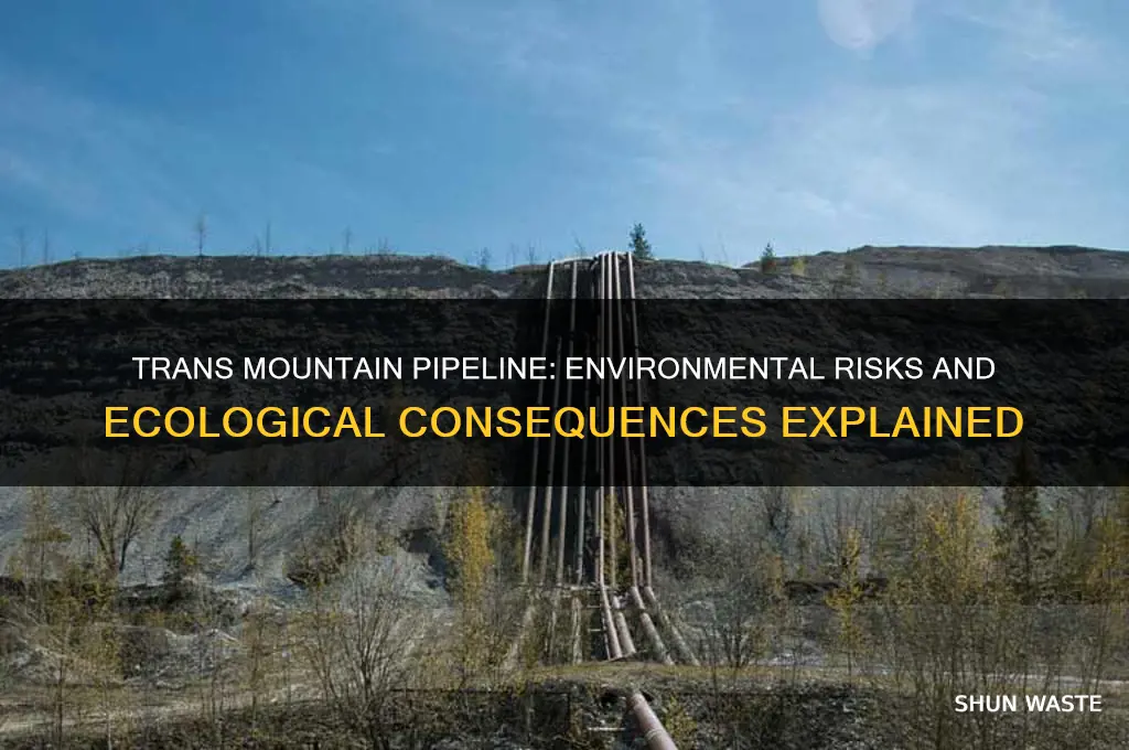 why is the trans mountain pipeline bad for the environment