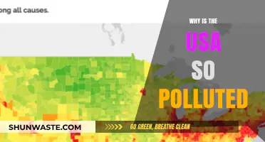 Why America's Pollution Crisis Persists: Causes and Consequences