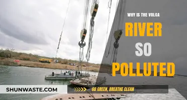 The Volga River's Pollution Crisis: Causes and Consequences Explained
