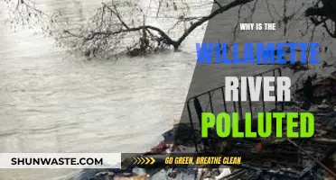 Why the Willamette River Suffers from Persistent Pollution