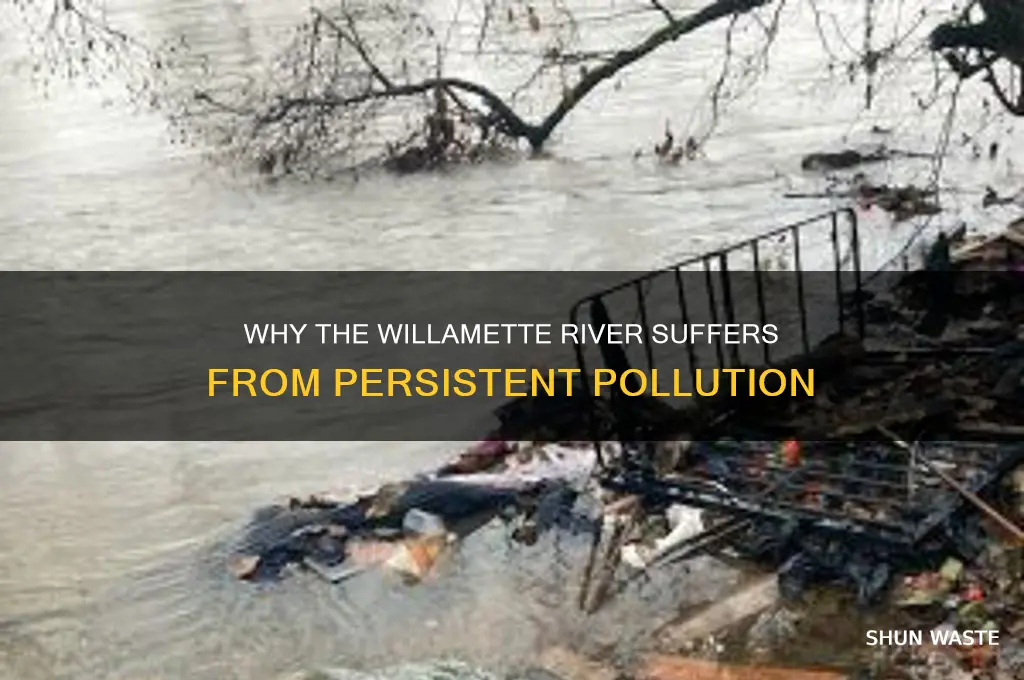 why is the willamette river polluted