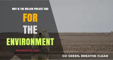 The Willow Project's Devastating Environmental Impact: A Critical Analysis