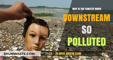Yangtze River's Downstream Pollution Crisis: Causes and Consequences