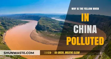 China's Yellow River Pollution Crisis: Causes and Consequences