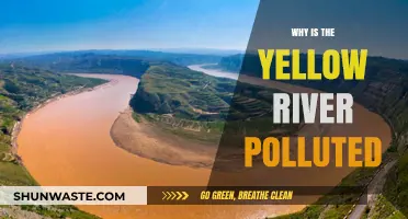 Unveiling the Causes of Yellow River's Severe Pollution Crisis