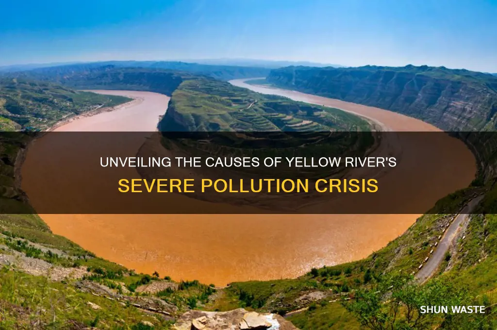 why is the yellow river polluted