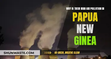 Papua New Guinea's Air Pollution Crisis: Why?