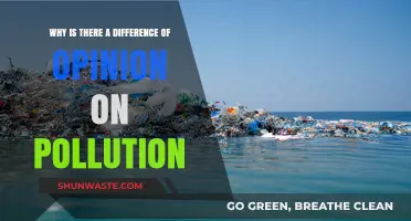 Divided Views on Pollution: Unraveling the Causes of Disagreement