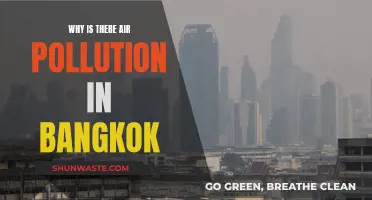 Bangkok's Air Pollution: Causes and Concerns