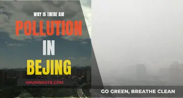 Beijing's Air Pollution: Understanding the Capital's Smoky Skies