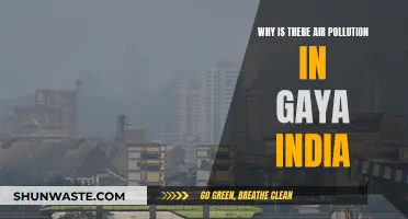 Gaya's Air Pollution: Causes and Concerns